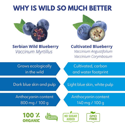 Dried Wild Blueberry - Suspire