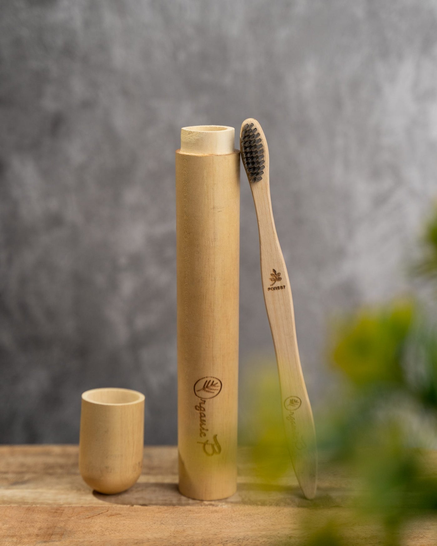 Eco Friendly Travel Case with Bamboo Charcoal Toothbrush - Suspire