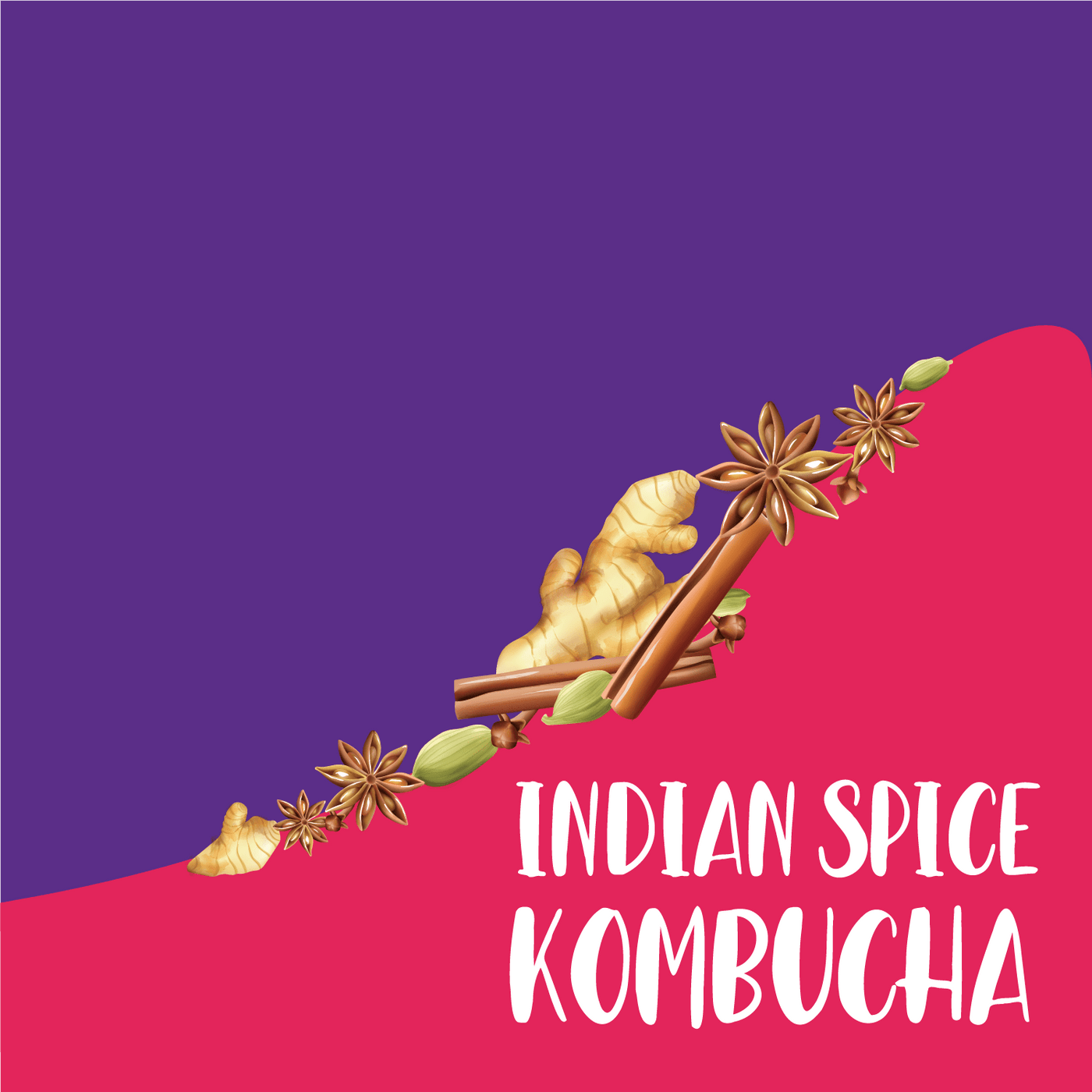 Indian Spice Kombucha (Pack of 4) - Suspire